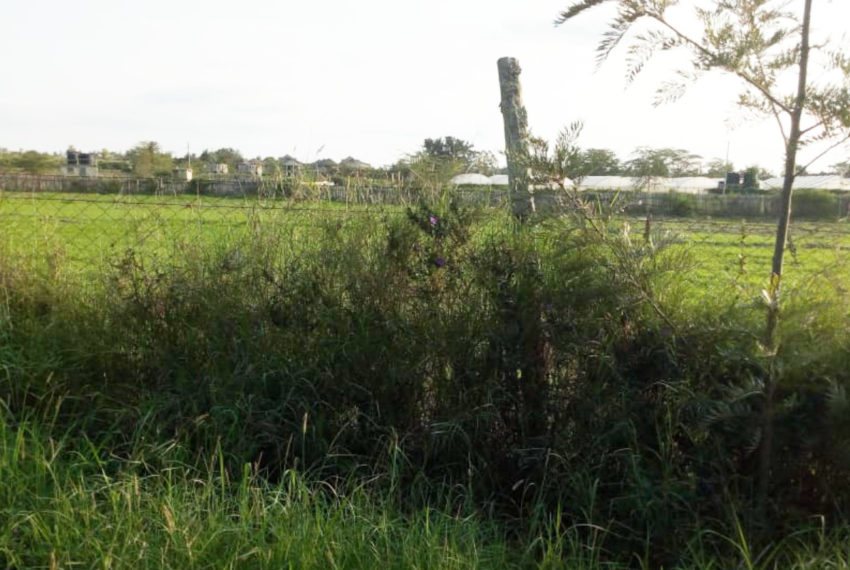 Kinanie Plots Mombasa Rd (1)