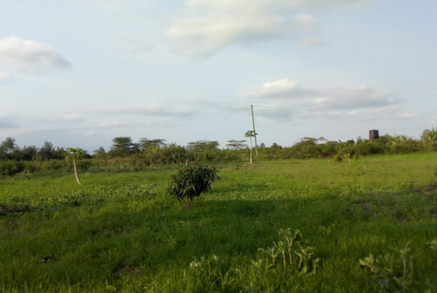Kinanie Plots Mombasa Rd (10)