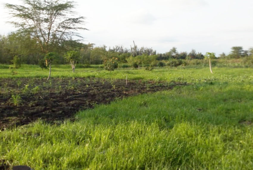 Kinanie Plots Mombasa Rd (11)