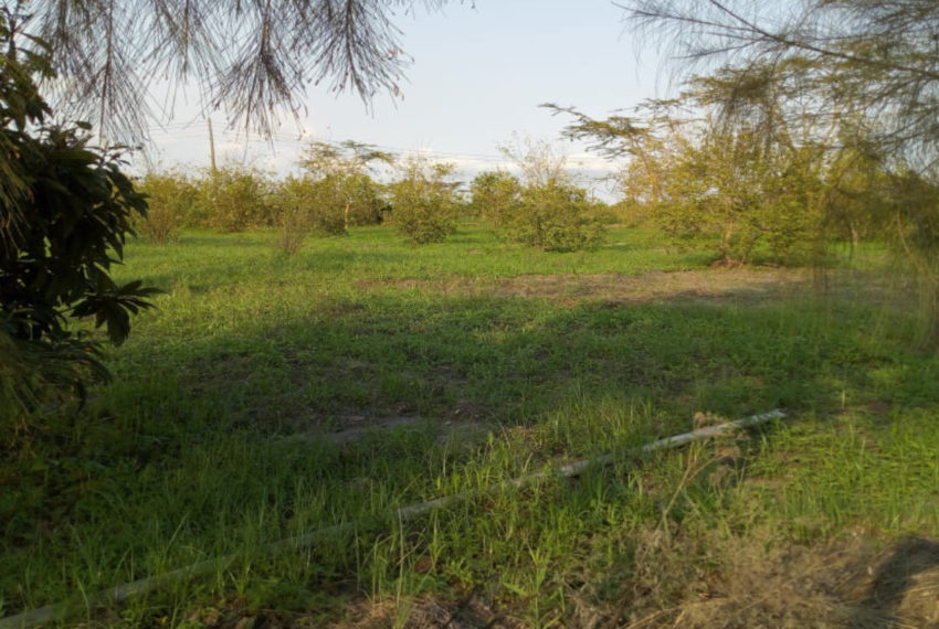 Kinanie Plots Mombasa Rd (15)