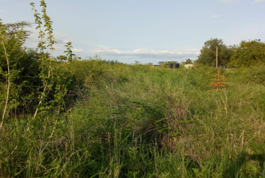 Kinanie Plots Mombasa Rd (17)