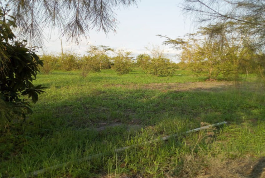 Kinanie Plots Mombasa Rd (2)