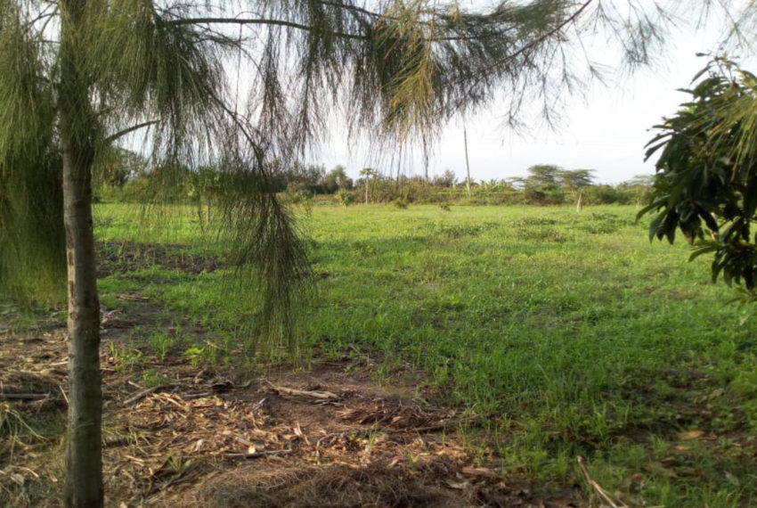 Kinanie Plots Mombasa Rd (3)