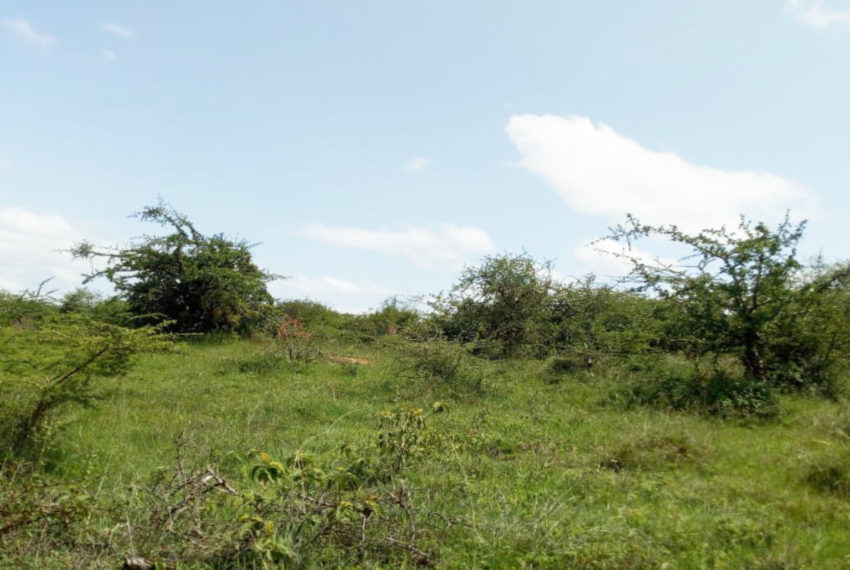 Kinanie Plots Mombasa Rd (4)