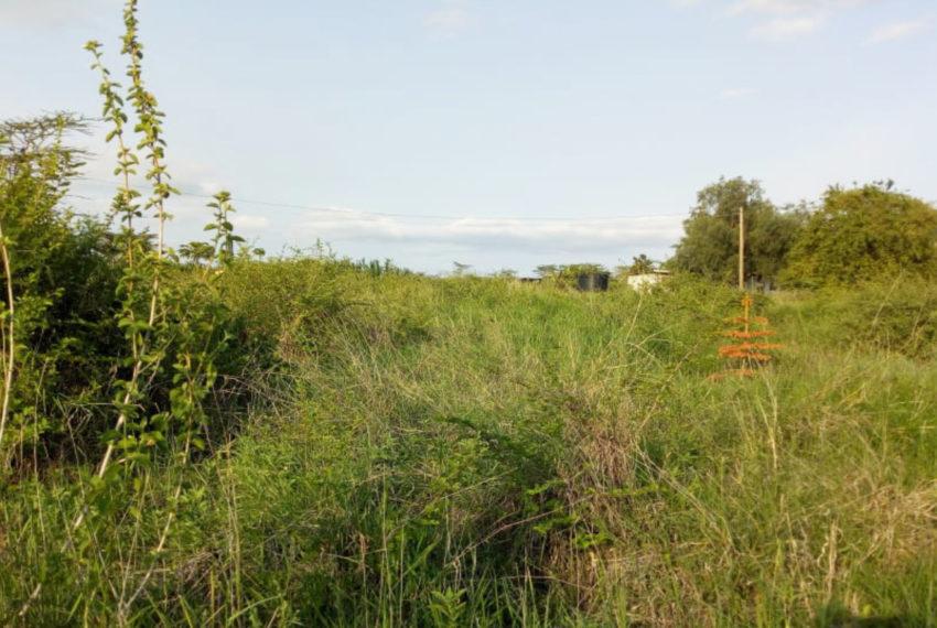 Kinanie Plots Mombasa Rd (5)