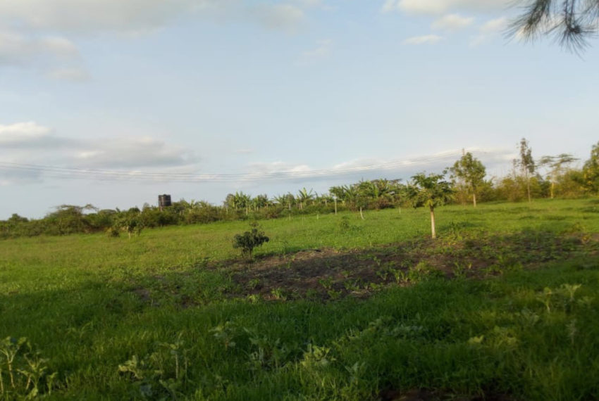 Kinanie Plots Mombasa Rd (7)