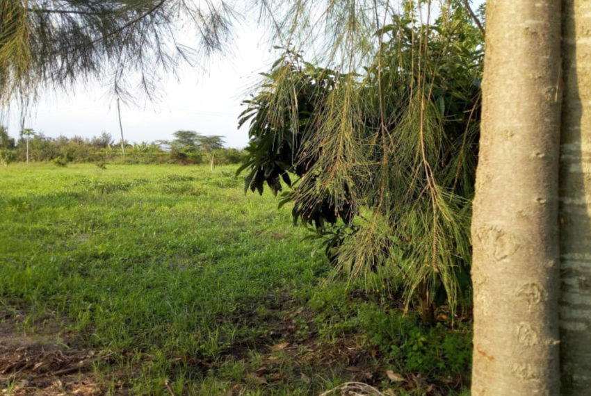 Kinanie Plots Mombasa Rd (8)
