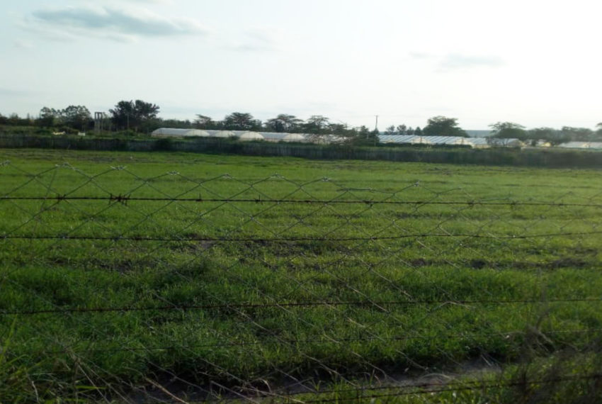 Kinanie Plots Mombasa Rd (9)